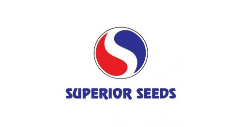 Superior Seeds